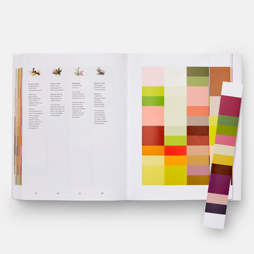 Flower Colour Theory Darroch Putnam + Michael Putnam - Image 4