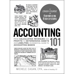 Accounting 101 Michele Cagan
