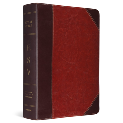 ESV Study Bible TruTone®, Brown/Cordovan, Portfolio Design, Indexed