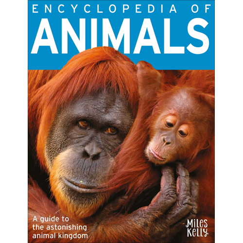 Encyclopedia of Animals Miles Kelly