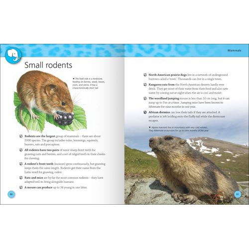 Encyclopedia of Animals Miles Kelly - Image 2