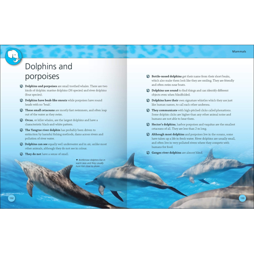 Encyclopedia of Animals Miles Kelly - Image 3