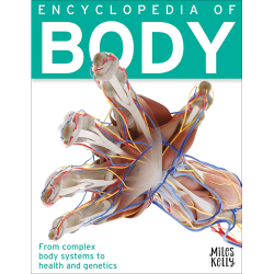 Encyclopedia of Body Miles Kelly